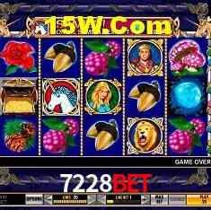 7228Bet - User Statistics